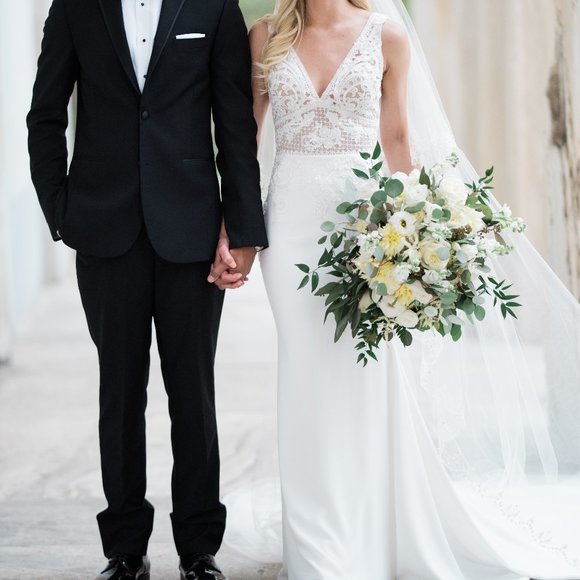 Pronovias Emily Gown -Wedding Dress- Used - Picture 1 of 16